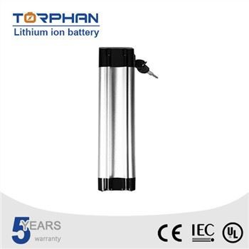 Bateri Lithium 36v untuk Suria